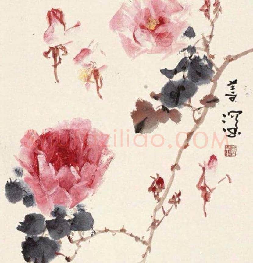 杨善深花鸟画作品欣赏 | 书画讲解