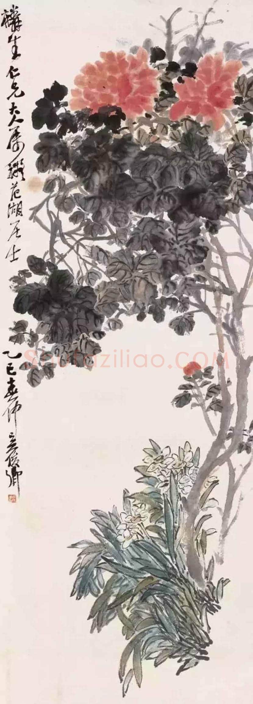 吴昌硕笔下的水仙，淡雅又清香四溢 | 书画科普