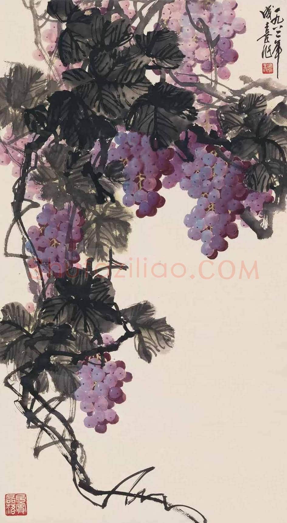 王成喜写意葡萄欣赏 | 书画科普