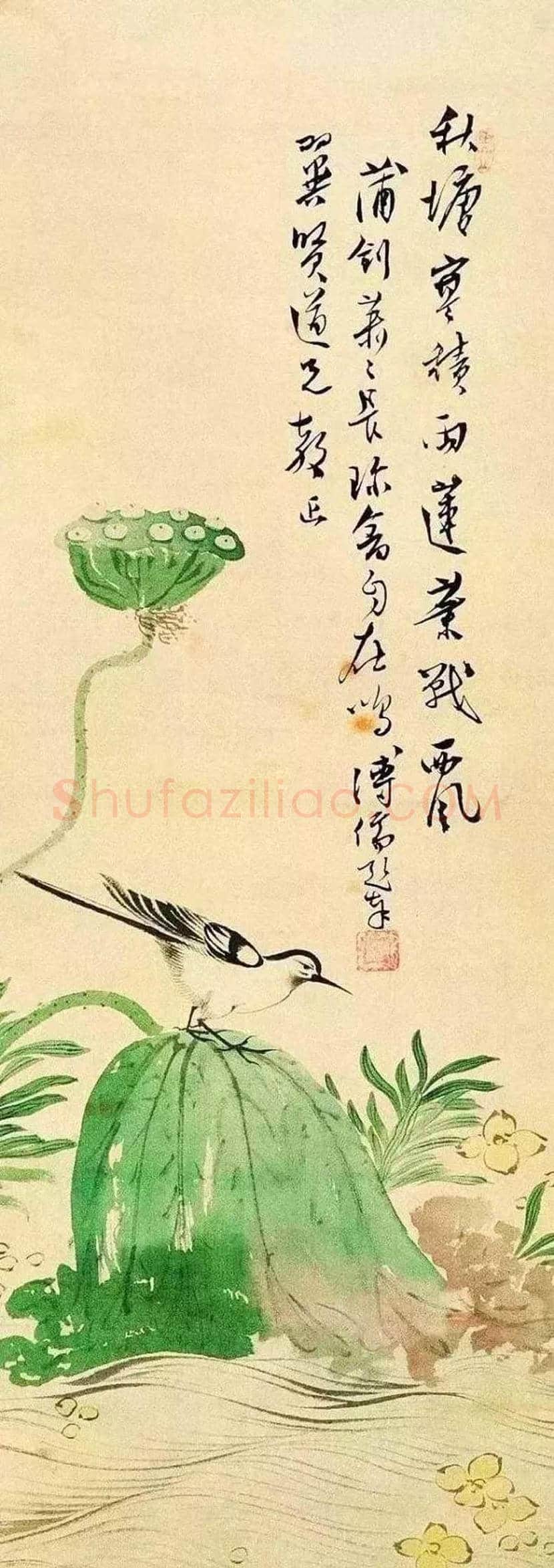 溥心畲笔下的荷花,清新脱俗! | 书画资料