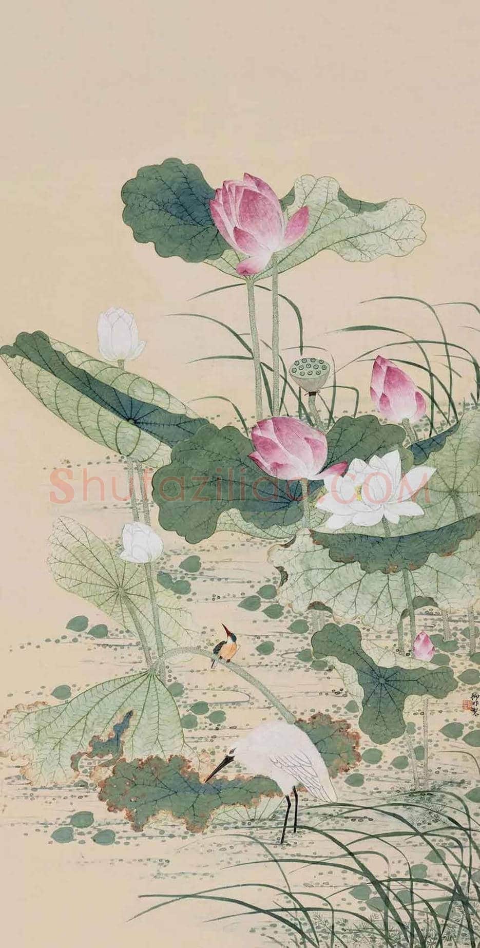 陆抑非荷花作品欣赏 | 书画文摘