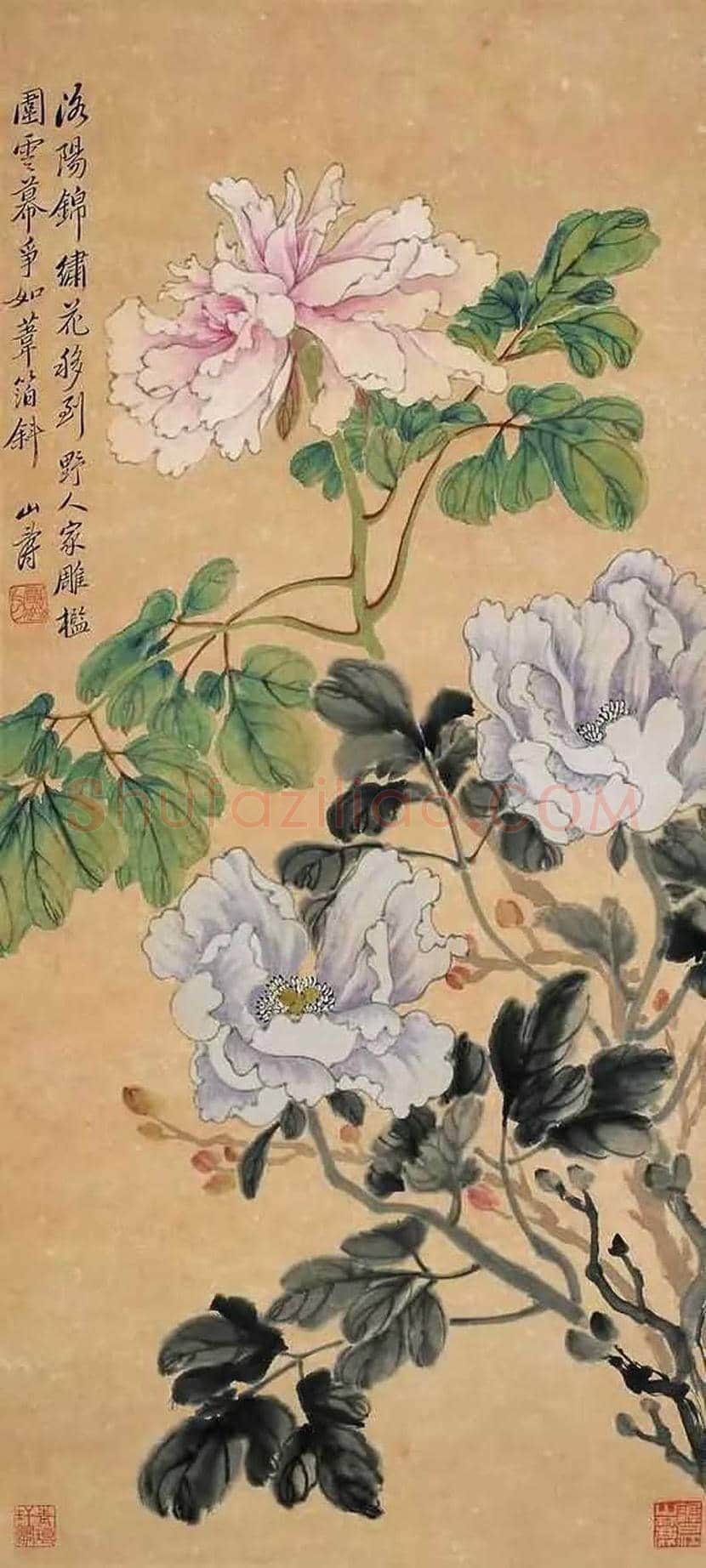 黄山寿花鸟画作欣赏 | 书画百科