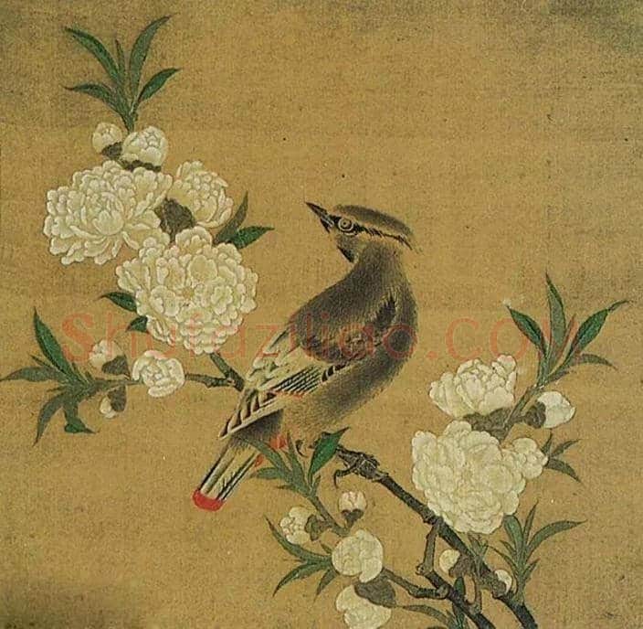 古代经典花鸟名画欣赏 | 书画常识