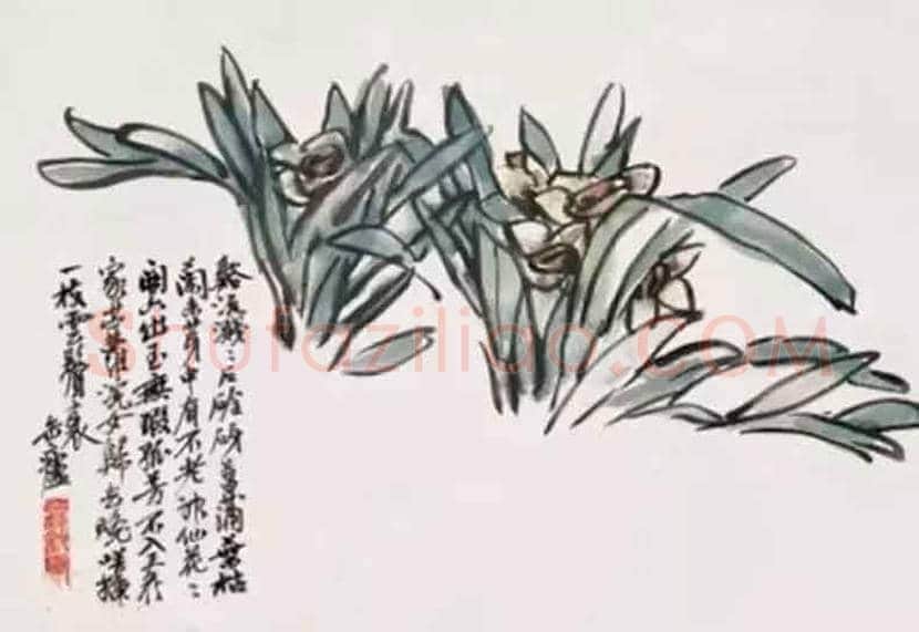 吴昌硕笔下的水仙，淡雅又清香四溢 | 书画科普