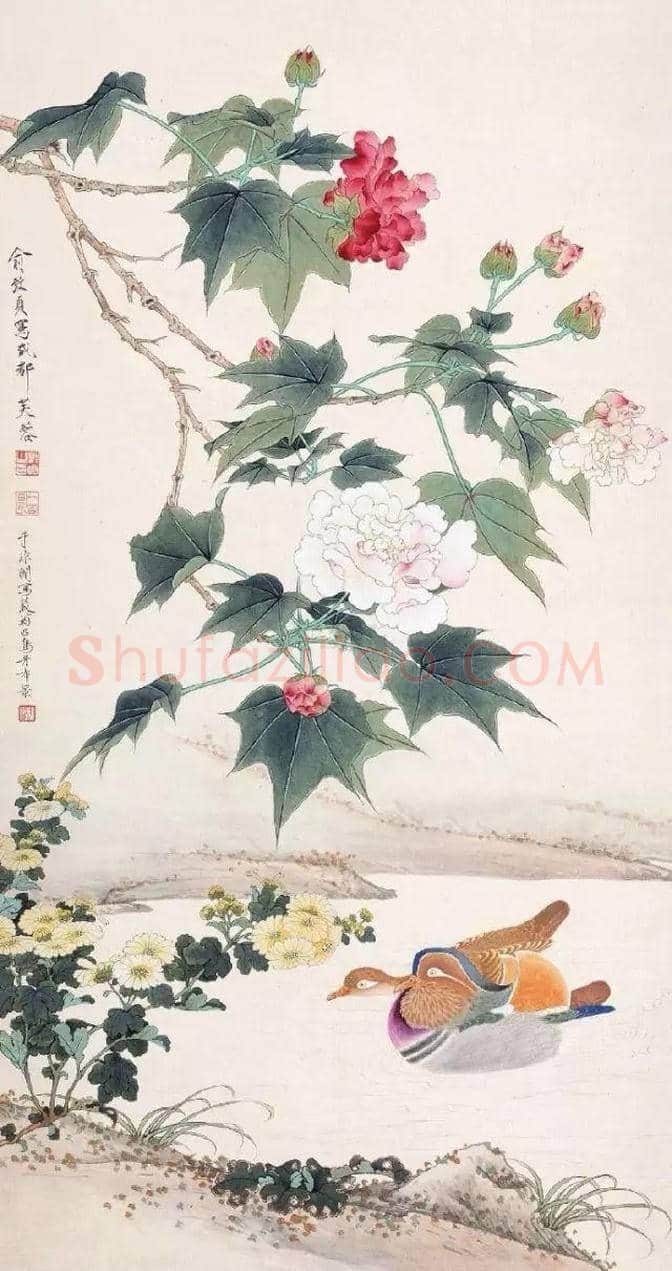 谢稚柳等名家笔下芙蓉花开 | 书画百科