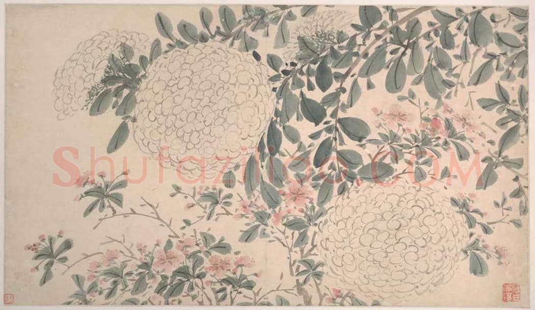 陈淳《花卉图》高清大图欣赏 | 书画常识
