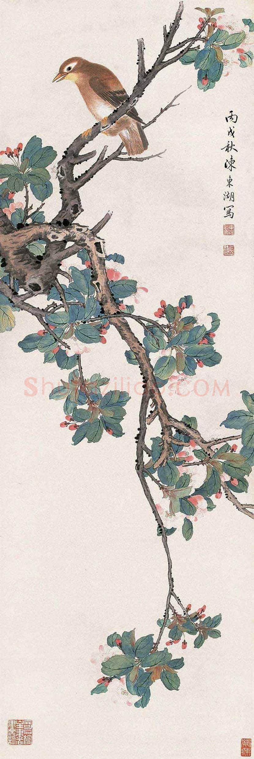 陈东湖花鸟作品欣赏 | 书画文摘