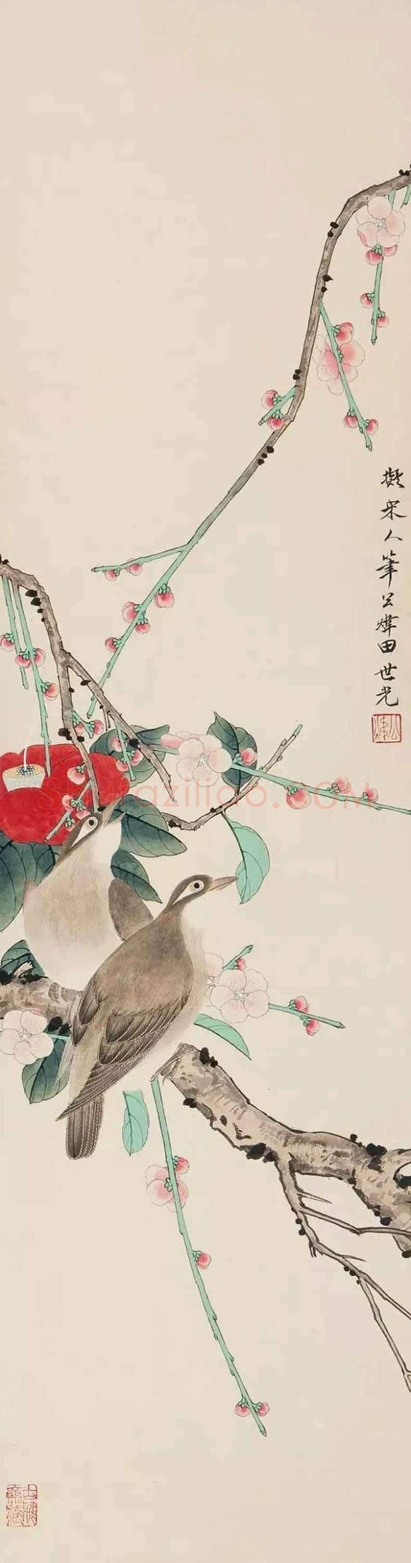田世光花鸟画作品欣赏 | 书画科普