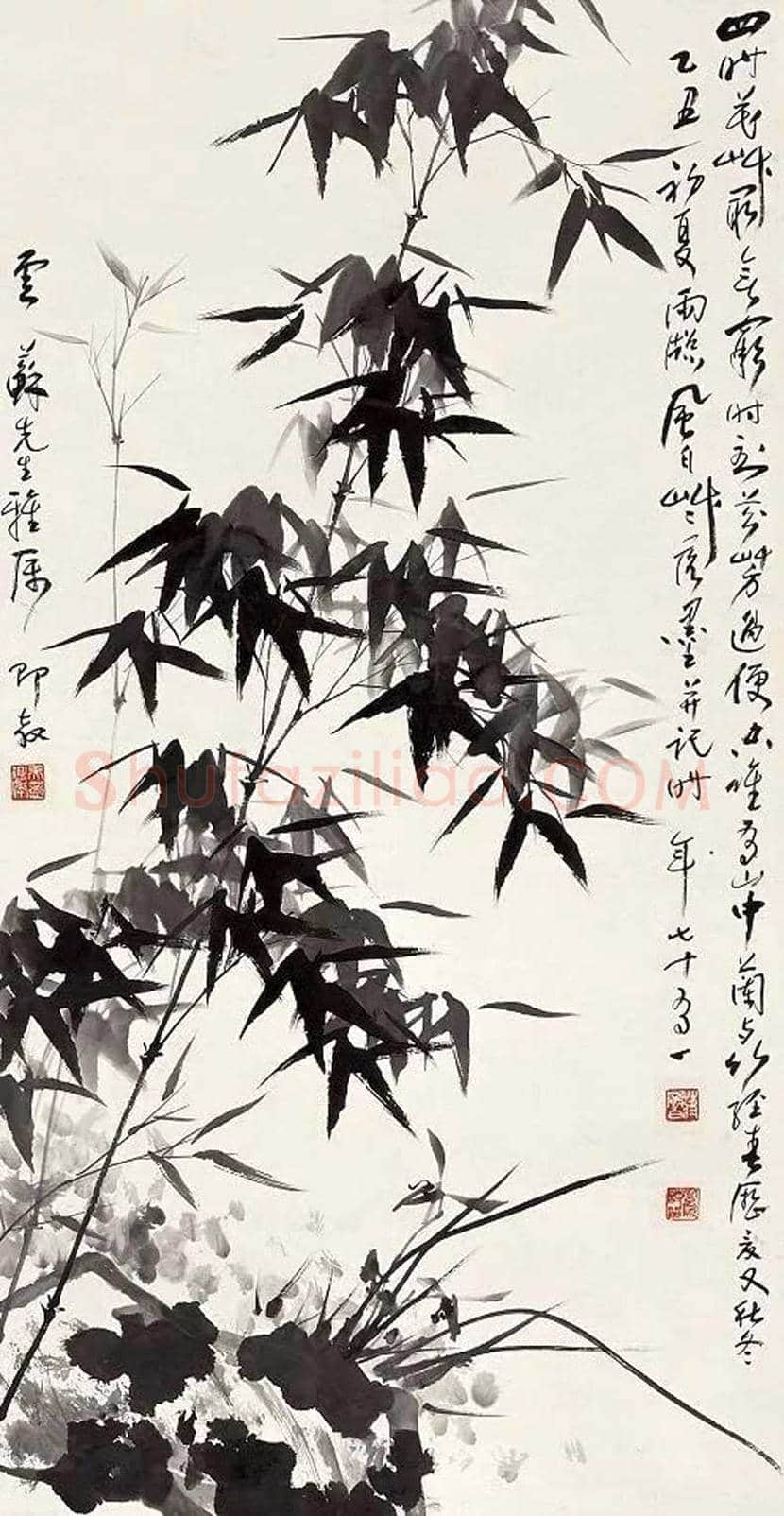 蒋风白兰竹作品欣赏 | 书画讲解