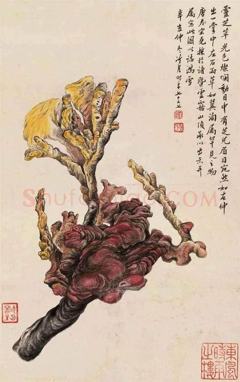 陶冷月作品欣赏 | 书画常识