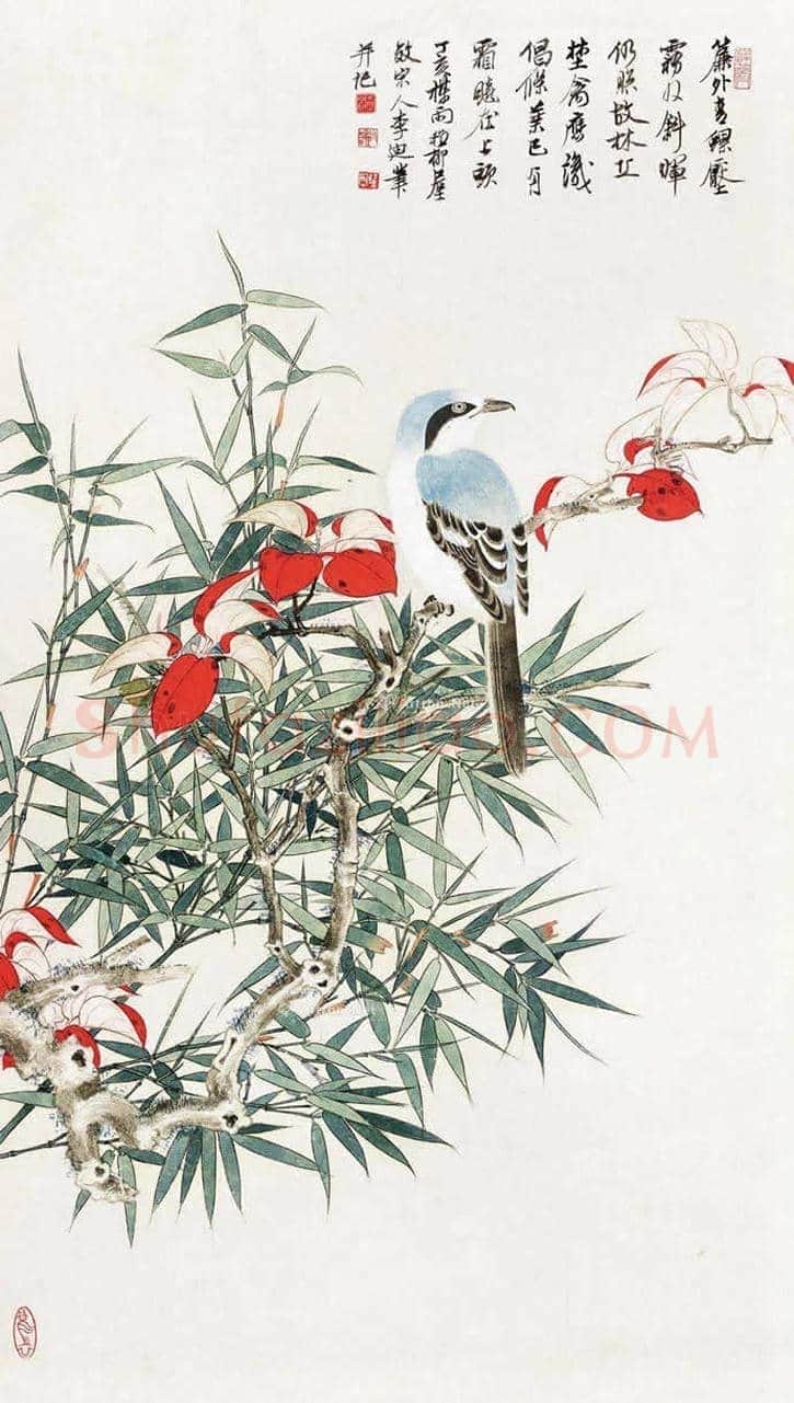 谢稚柳《红叶竹禽》赏析 | 书画讲解