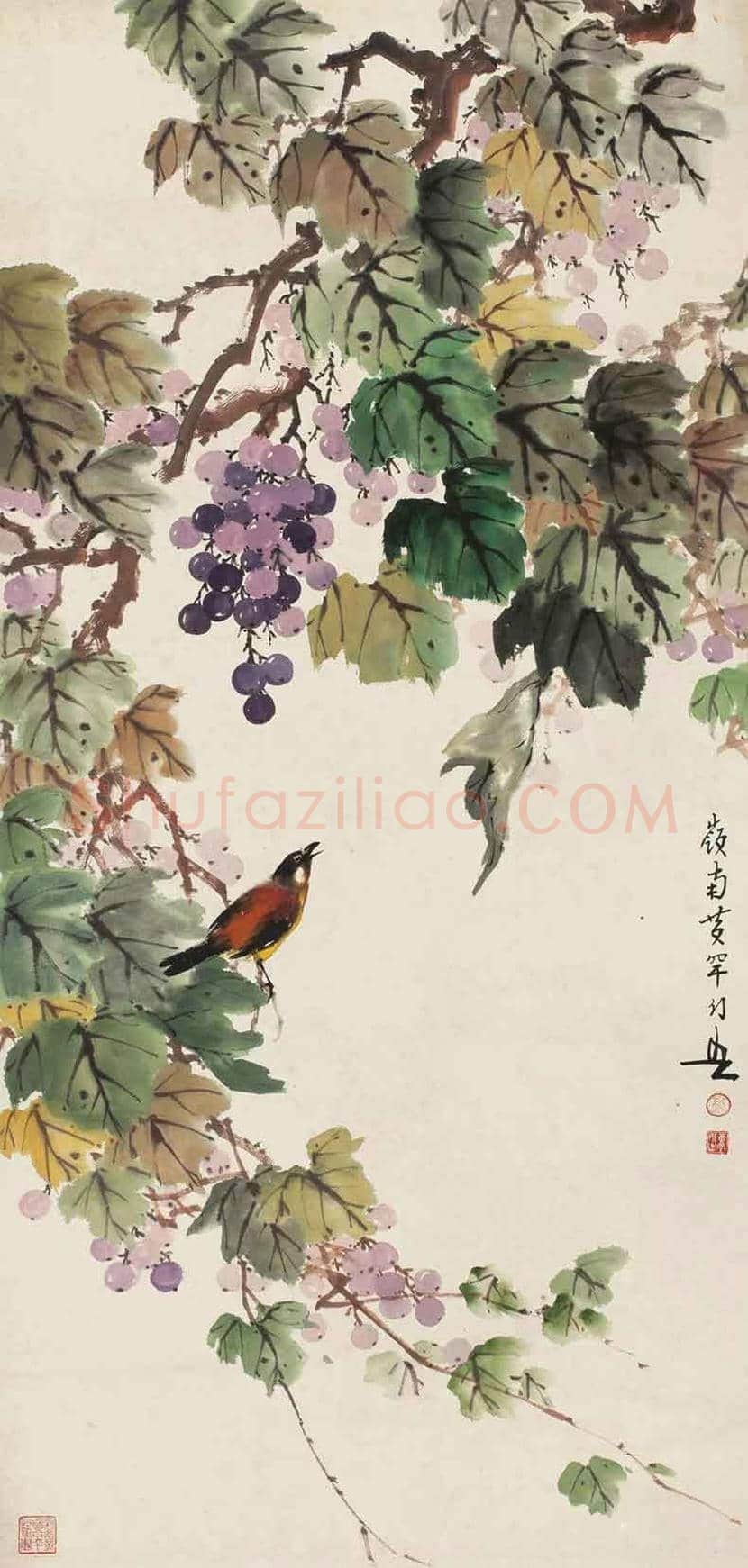 黄幻吾笔下的葡萄小鸟 | 书画常识