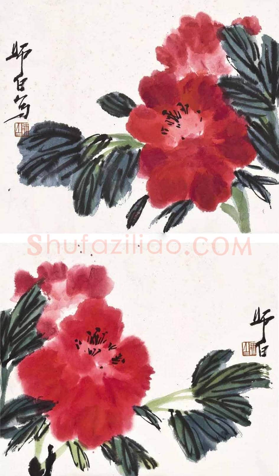 名家笔下的牡丹花【高清大图】 | 书画讲解