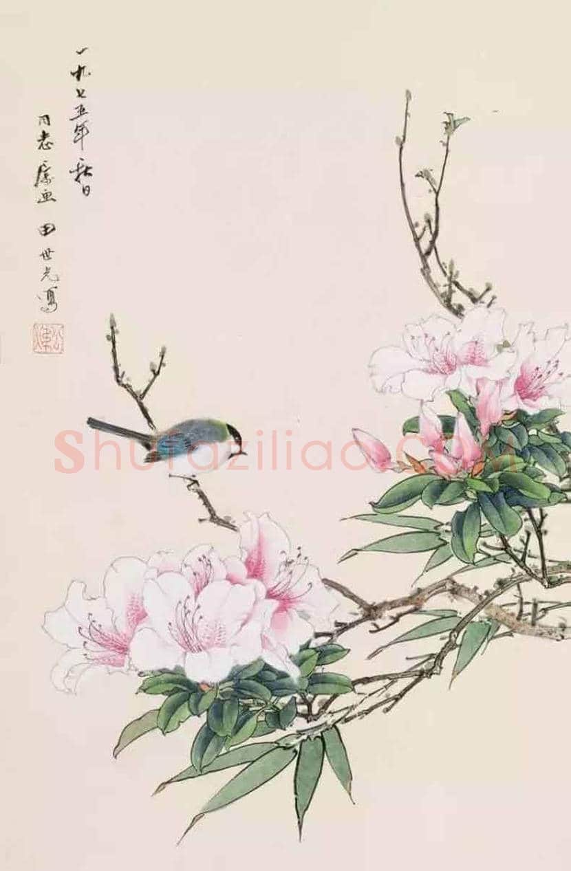 田世光花鸟画作品欣赏 | 书画科普