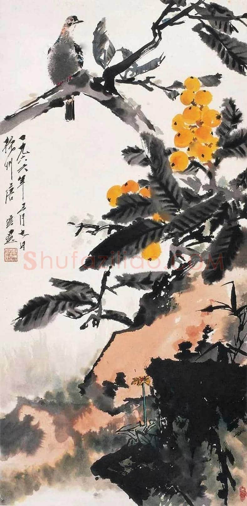 唐云花鸟画作品欣赏 | 书画学堂