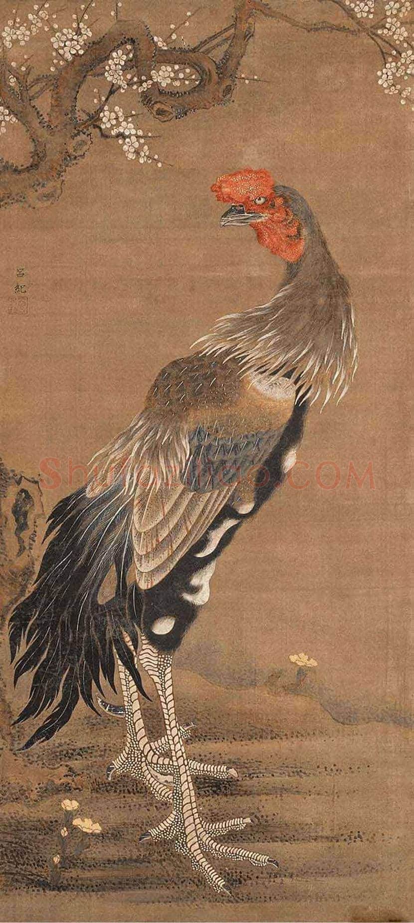 吕纪花鸟画欣赏 | 书画学堂