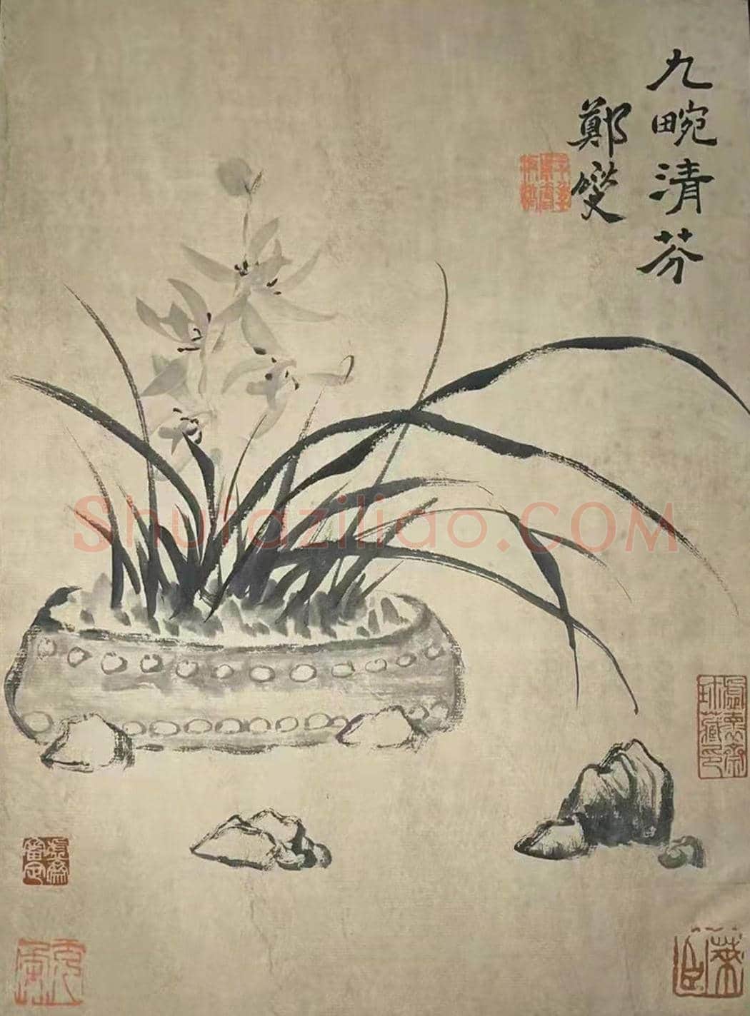庞元济旧藏——郑板桥《九畹清芬册》 | 国画赏析
