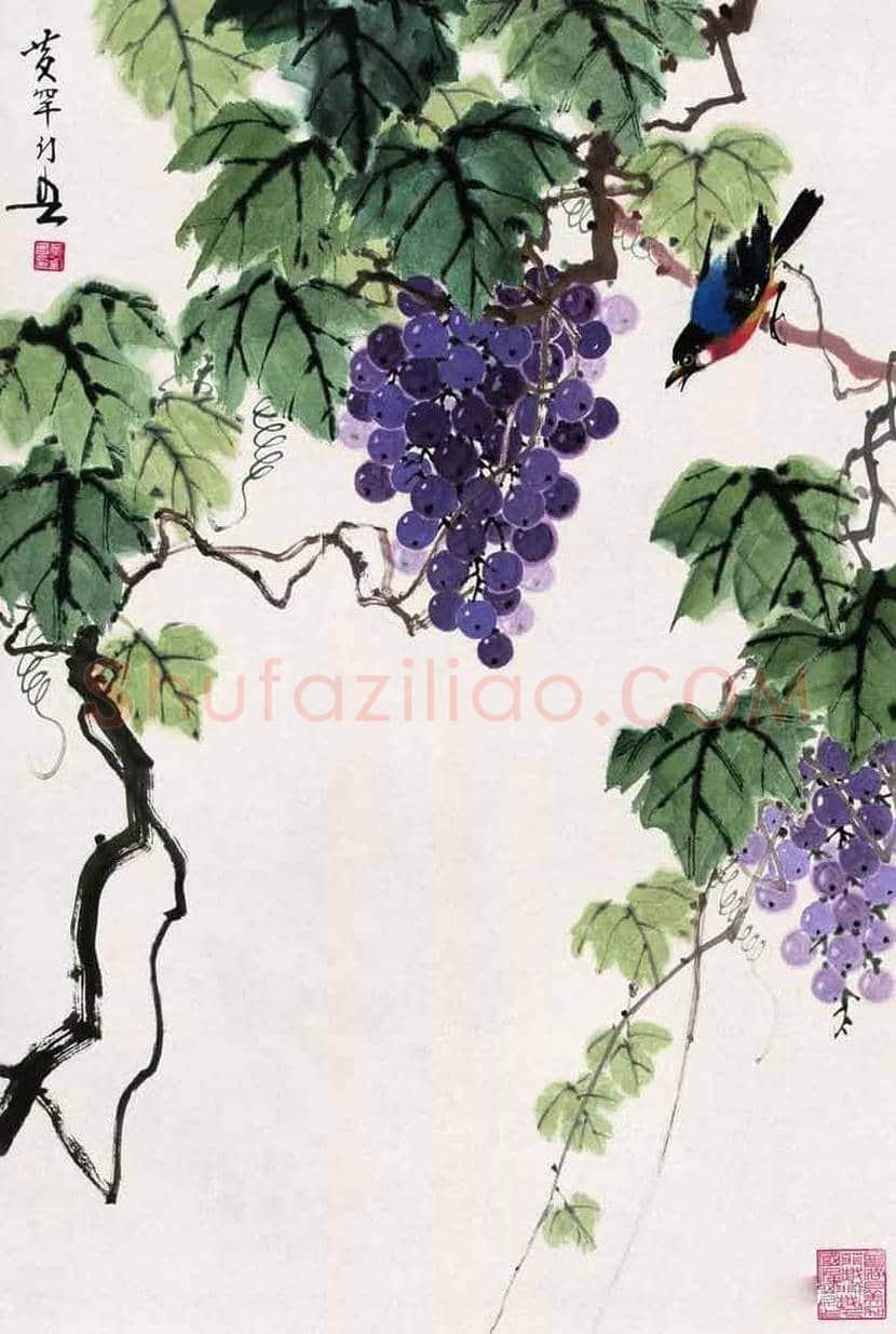 黄幻吾笔下的葡萄小鸟 | 书画常识
