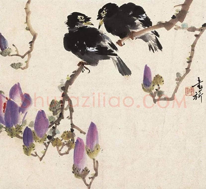 张书旂花鸟画作品欣赏 | 书画讲解