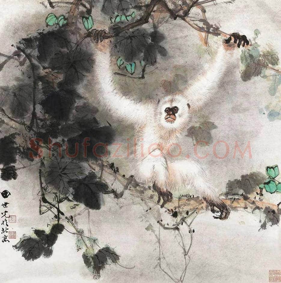 田世光猿猴作品精选 | 书画文摘