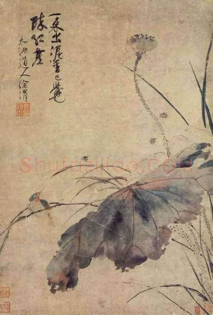 徐渭墨荷,这才叫大写意 | 书画知识
