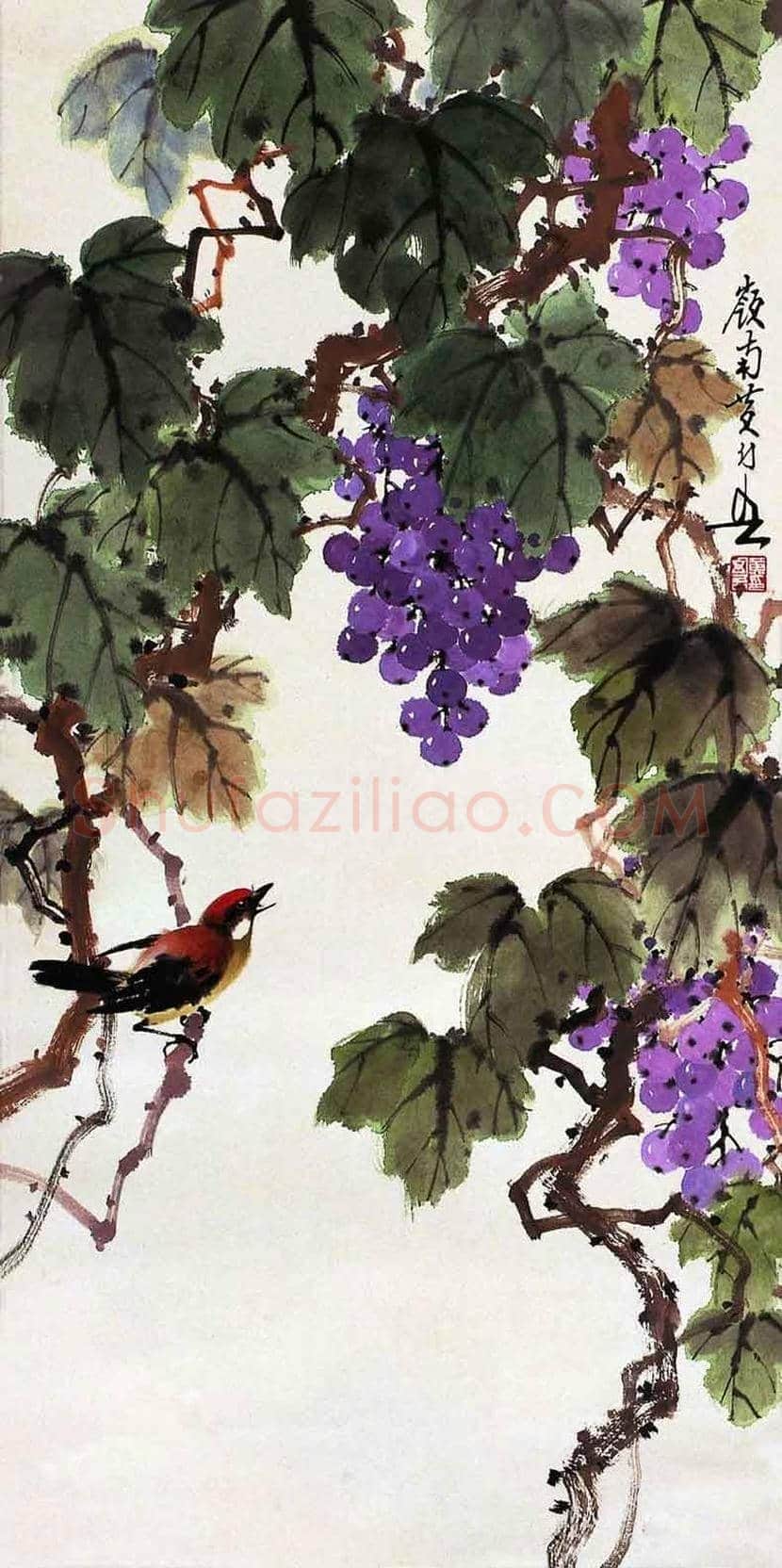 黄幻吾笔下的葡萄小鸟 | 书画常识
