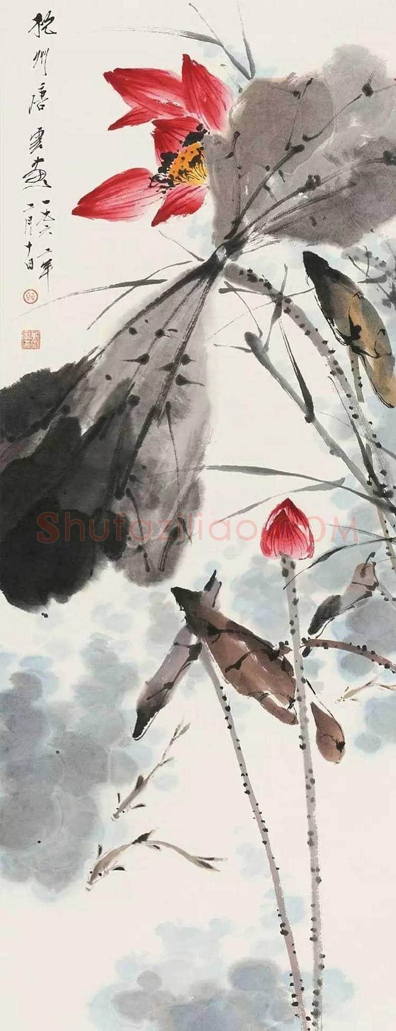 唐云花鸟画作品欣赏 | 书画学堂