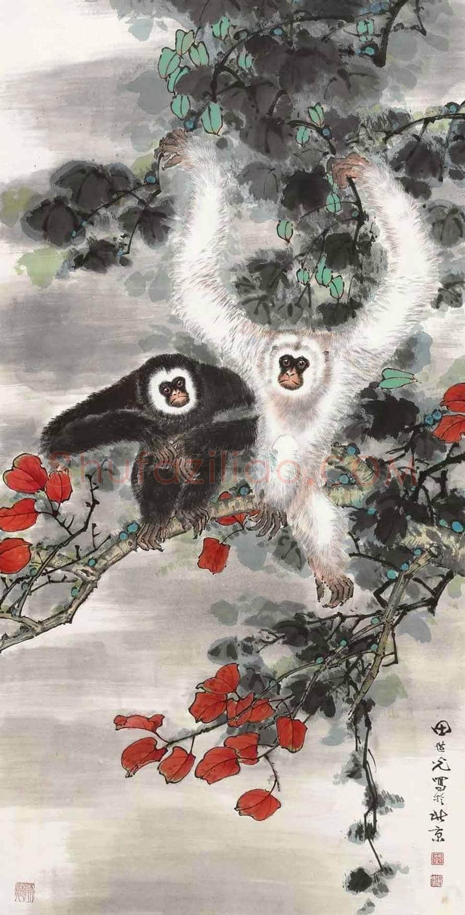 田世光猿猴作品精选 | 书画文摘