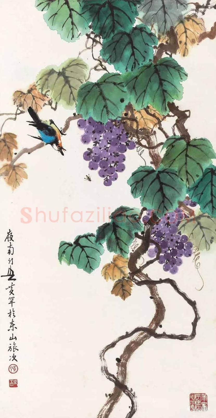 黄幻吾笔下的葡萄小鸟 | 书画常识