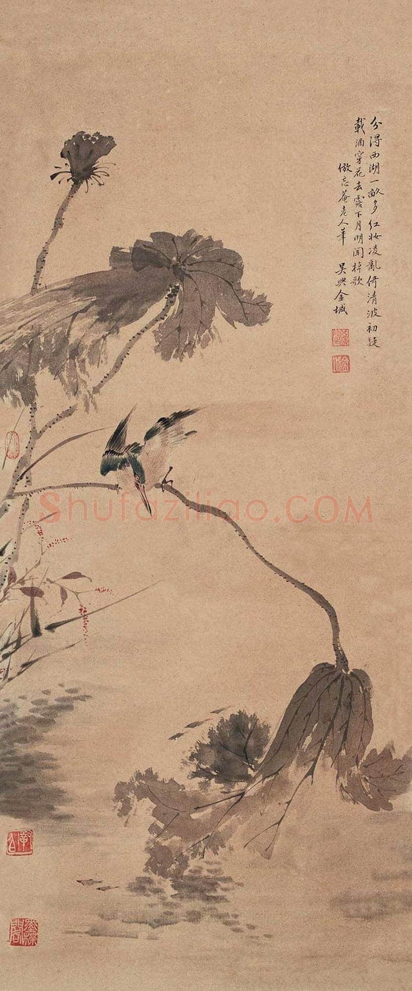 金城花鸟画作品欣赏 | 书画学堂