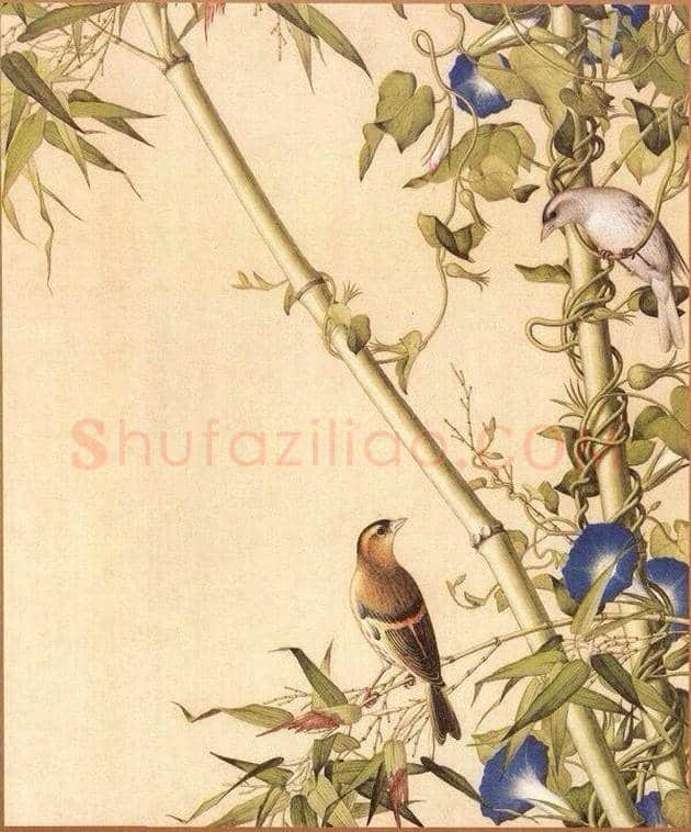 郎世宁笔下的中国花鸟 | 书画知识