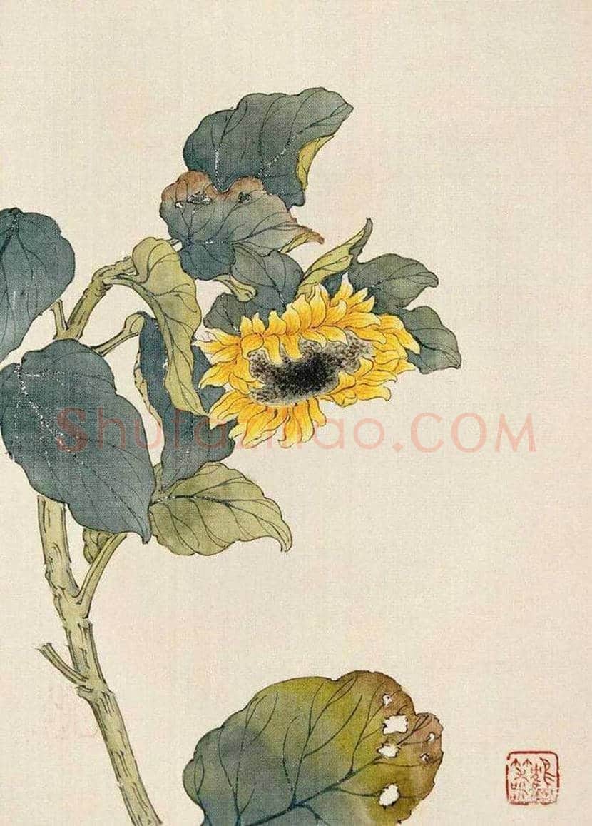 李鹤筹花鸟画作品欣赏 | 书画文摘