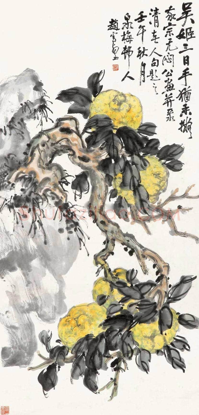 赵云壑花鸟画欣赏 | 书画资料
