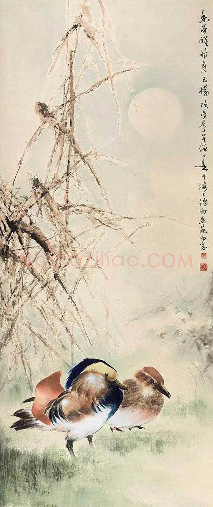 黄幻吾花鸟画作品欣赏 | 书画科普