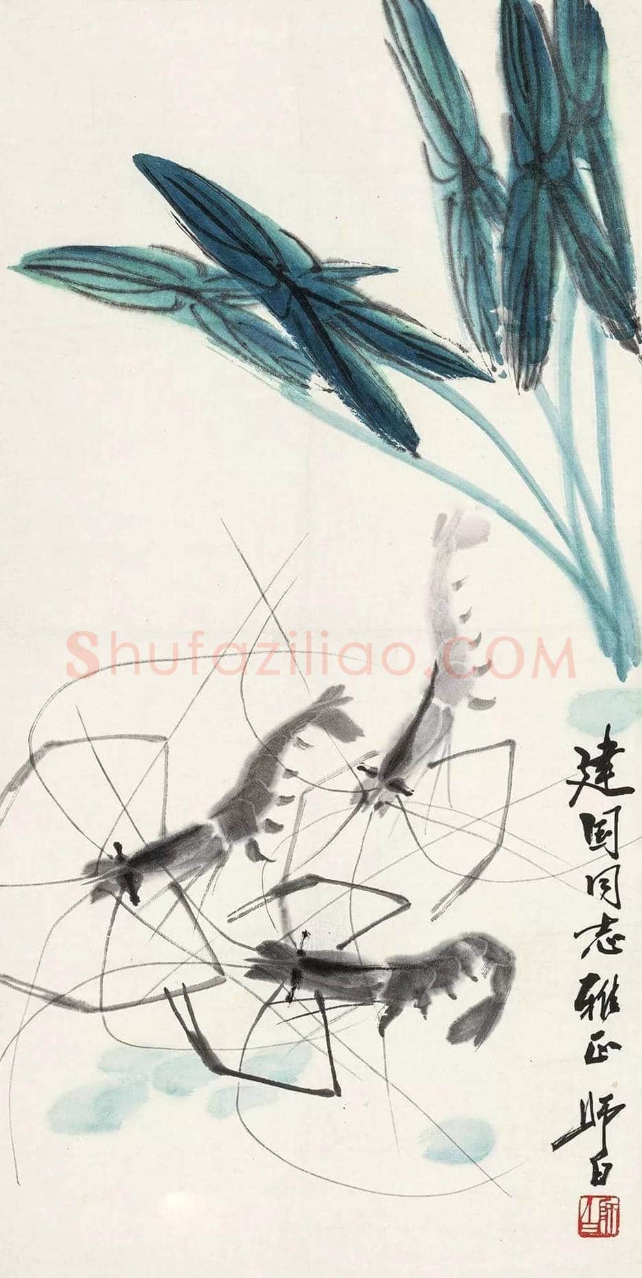 娄师白画虾作品欣赏 | 书画知识