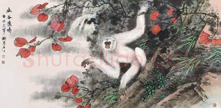 田世光猿猴作品精选 | 书画文摘