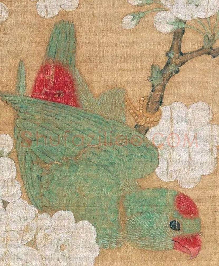 宋 《梨花鹦鹉图》，清新生动！ | 书画百科