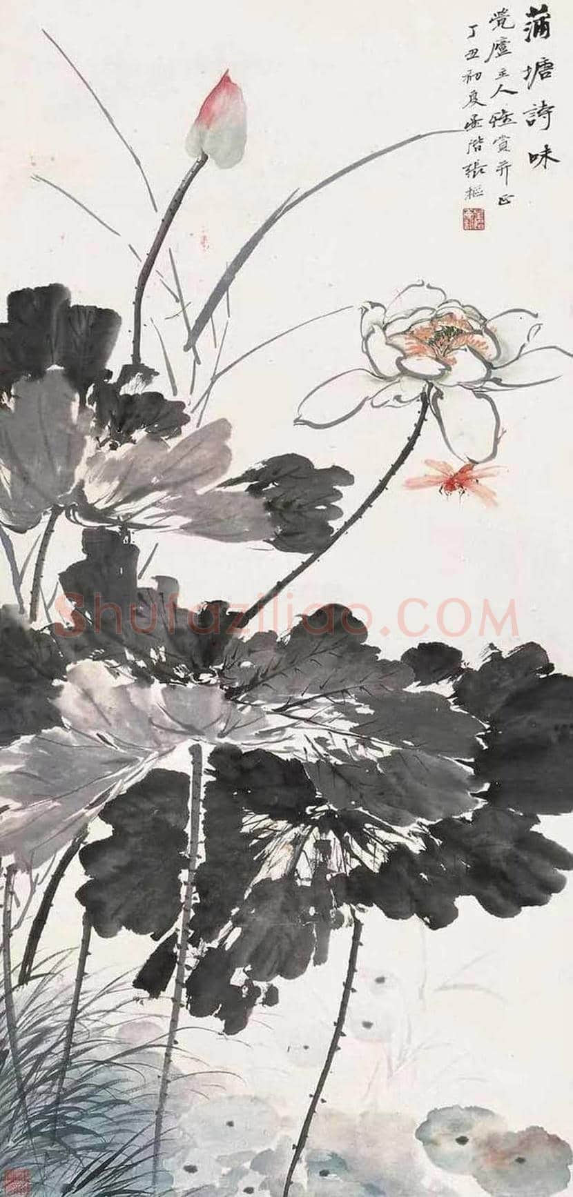 张辛稼花鸟画作品欣赏 | 书画学堂