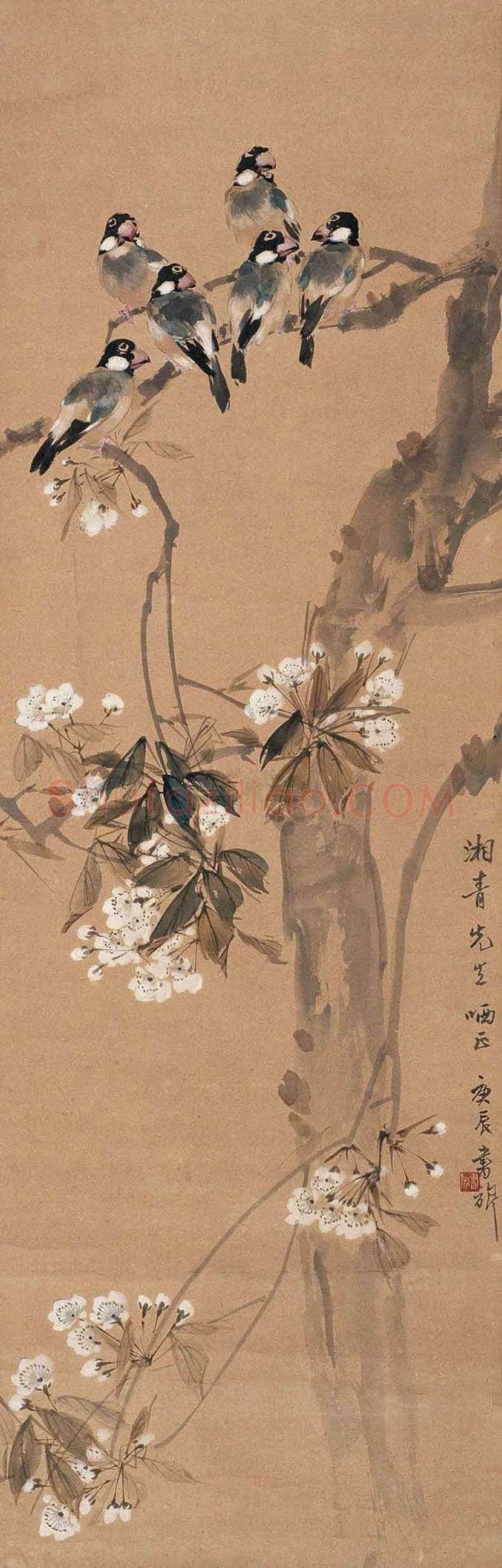 张书旂花鸟画作品欣赏 | 书画讲解