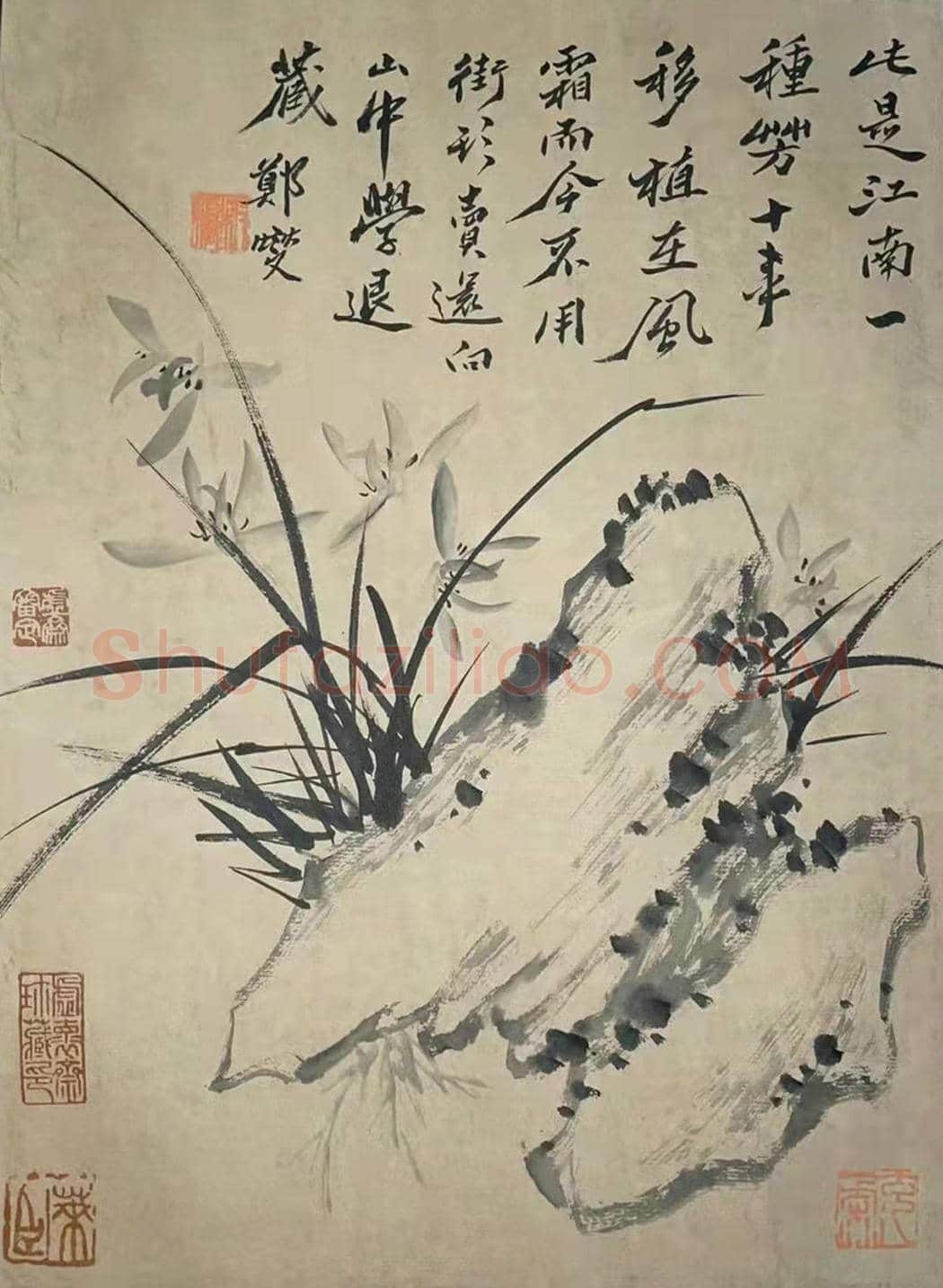 庞元济旧藏——郑板桥《九畹清芬册》 | 国画赏析
