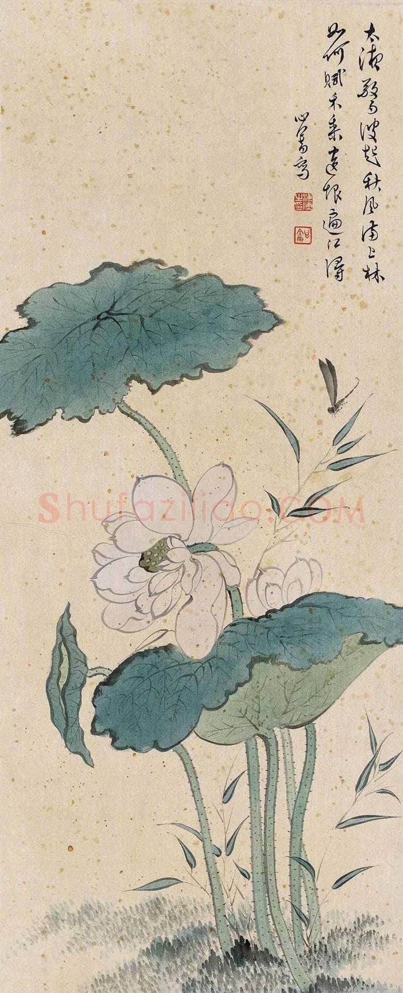 溥心畲笔下的荷花,清新脱俗! | 书画资料