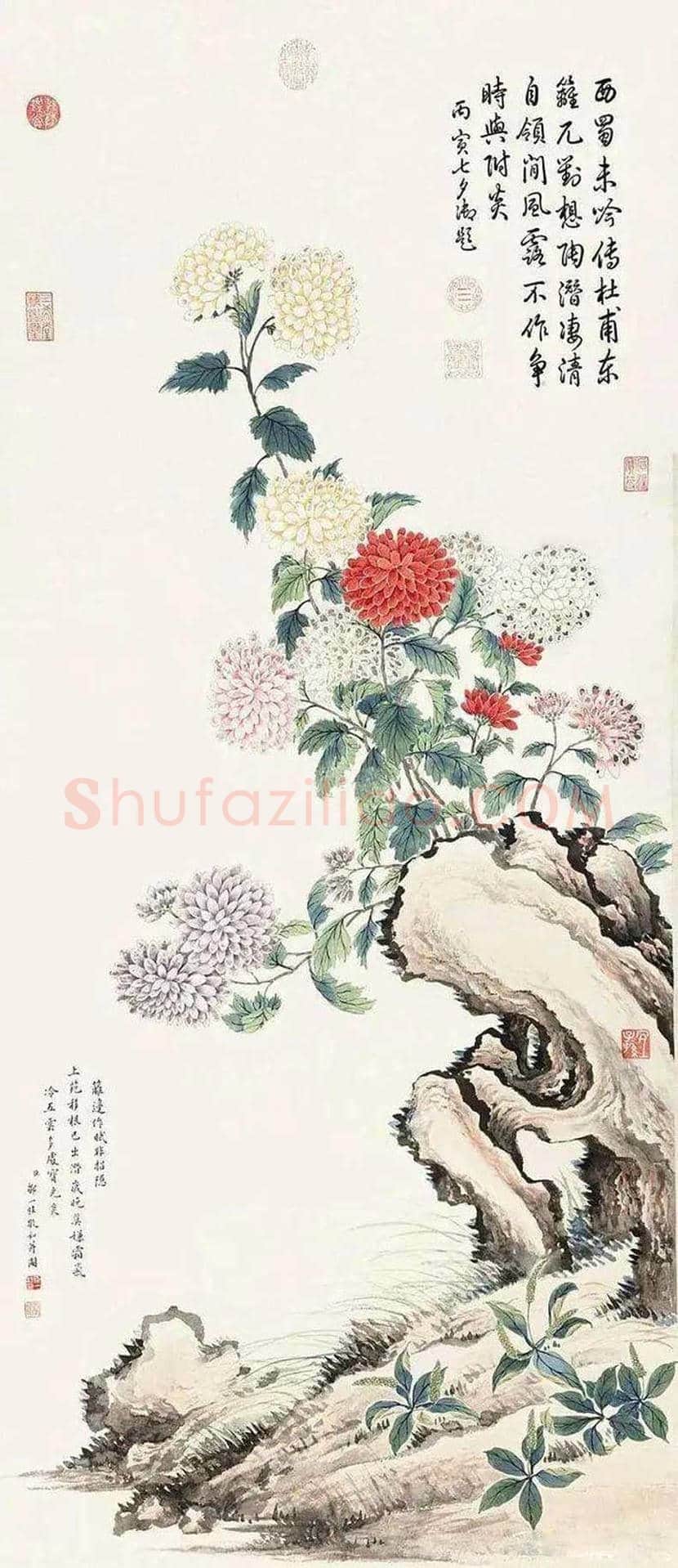 邹一桂工笔花鸟画作品欣赏 | 书画学堂