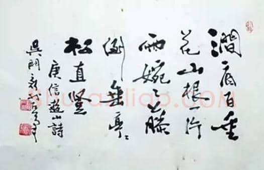 费新我书法名不虚传 | 书画资料