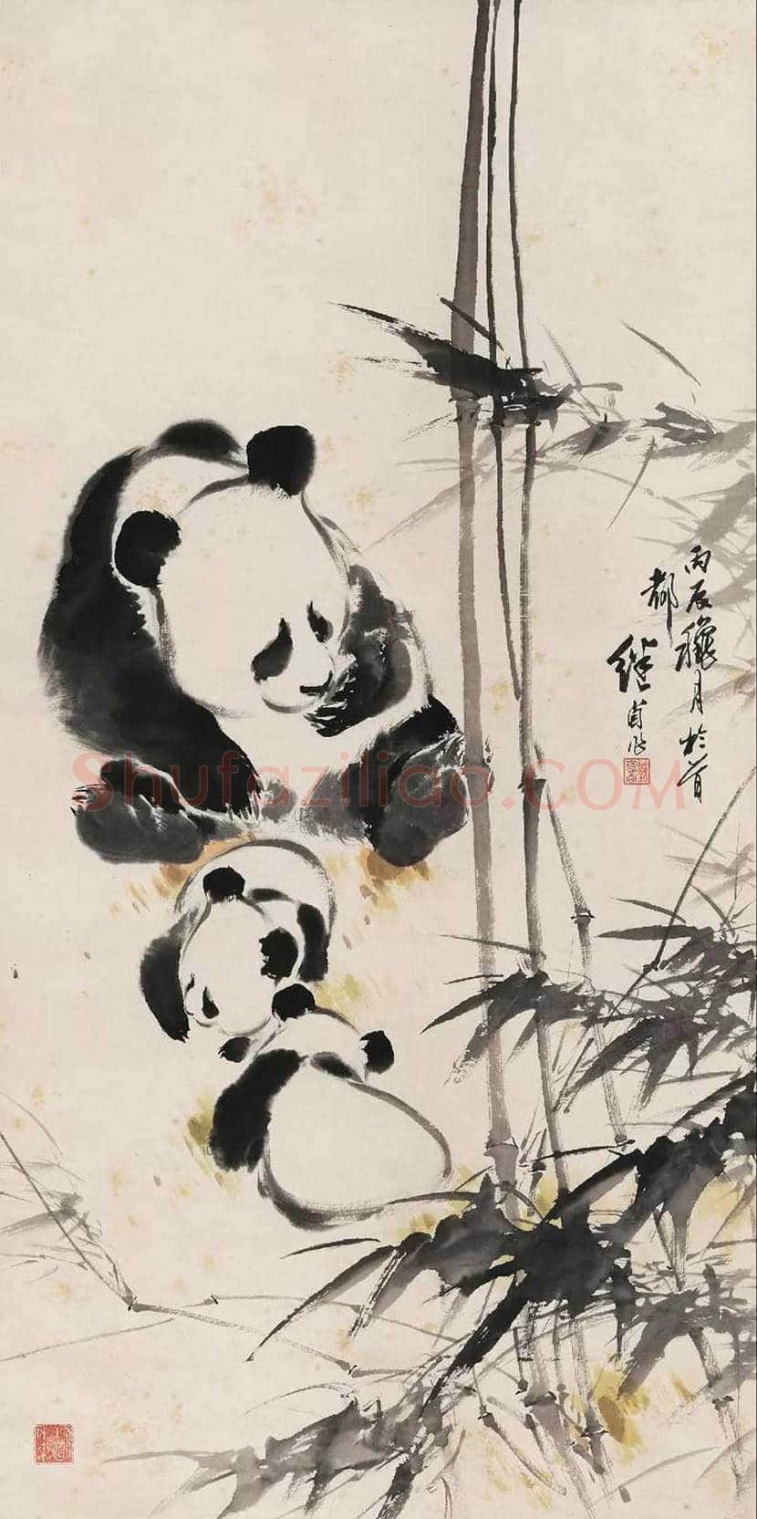 刘继卣笔下的国宝熊猫 | 书画讲解