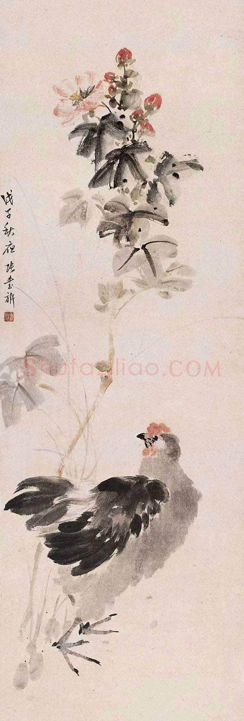 张书旂花鸟画作品欣赏 | 书画讲解
