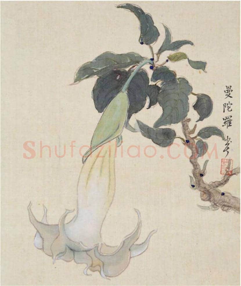 赖少其花鸟画作品欣赏 | 书画学堂