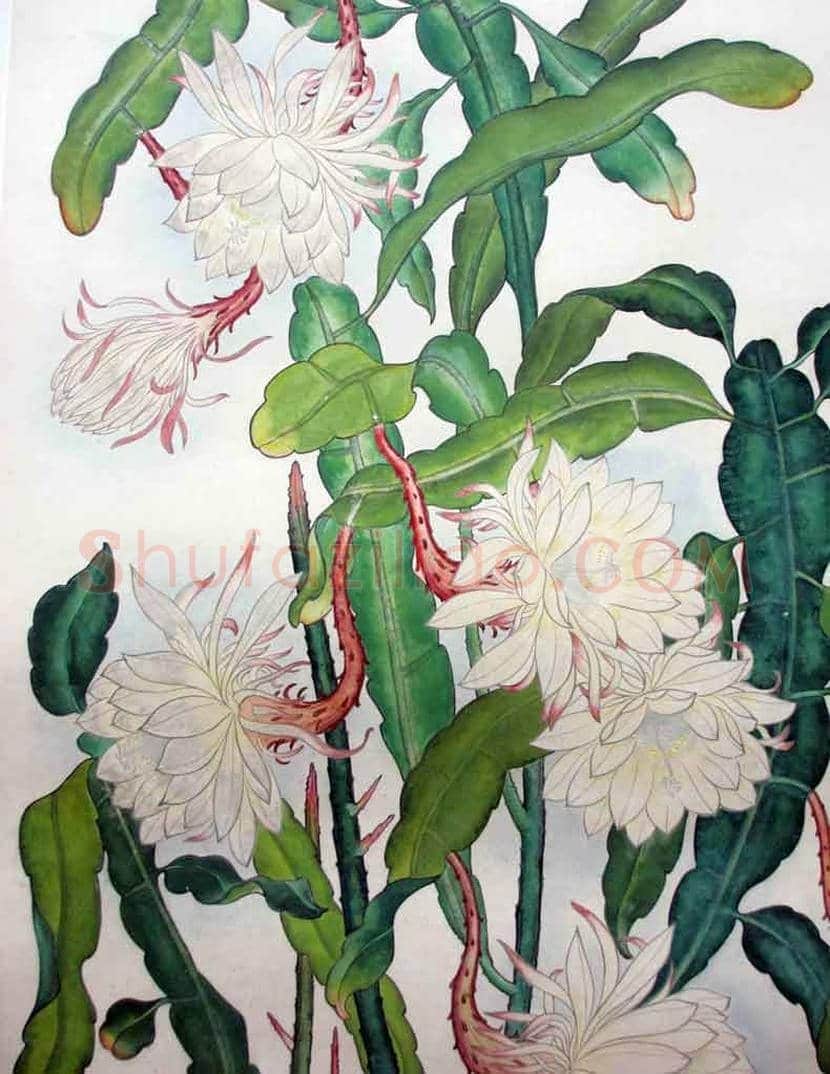 陈大羽书画作品欣赏 | 书画科普