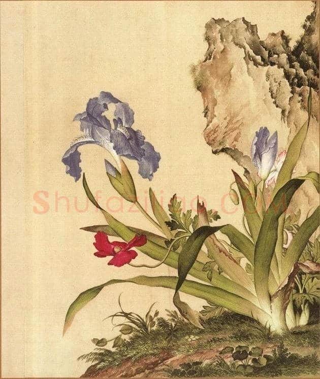 郎世宁笔下的中国花鸟 | 书画知识