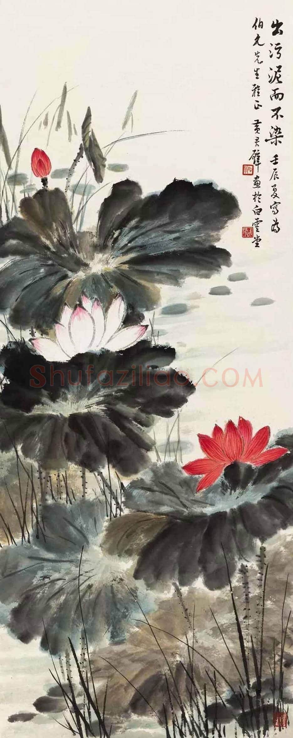 黄君璧荷花作品欣赏 | 书画知识