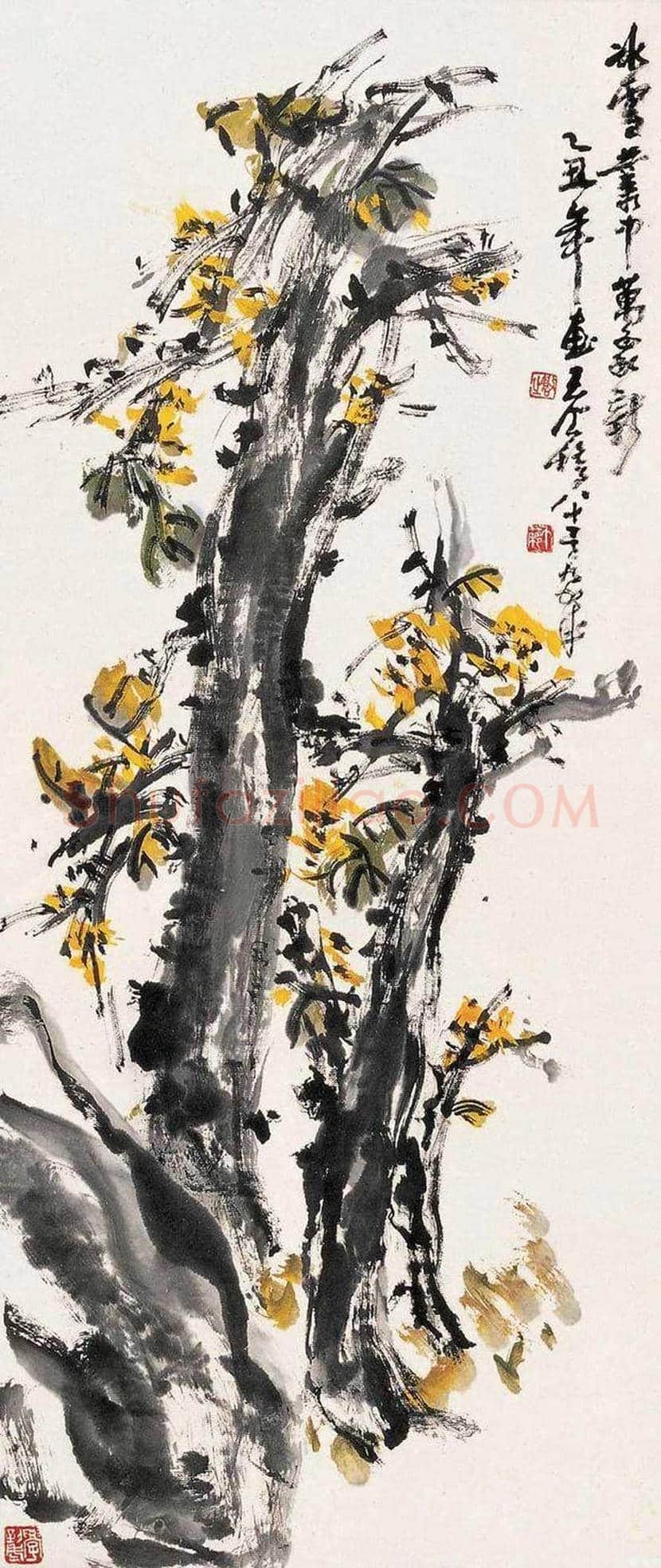 王个簃花鸟画作品欣赏 | 书画文摘